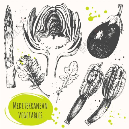 手绘新鲜的蔬菜插画