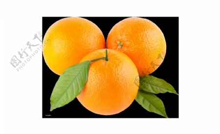 新鲜橙子png元素