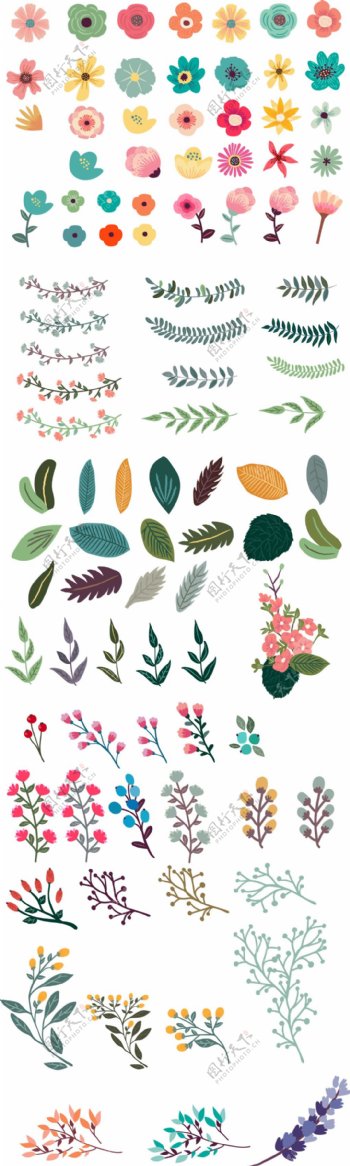 水彩绘彩色植物插画
