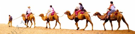 卡通骑骆驼旅行png元素