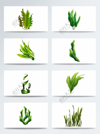 海底植物绿色水草叶子PNG元素图