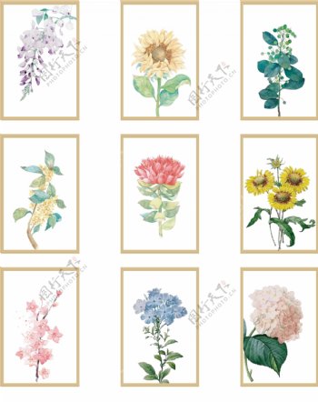 水彩花卉植物装饰画