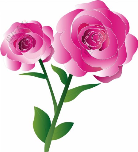 玫瑰花清新粉色可商用元素