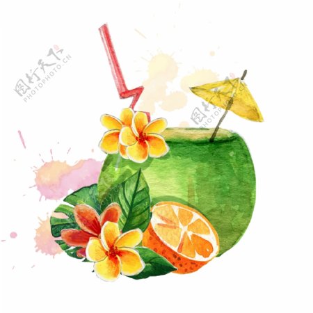手绘美味的椰子饮料插画