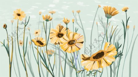 小清新菊花植物插画背景设计