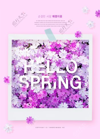 清新韩系粉色鲜花海报设计