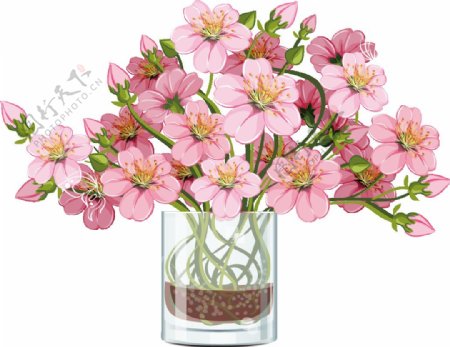 粉色水培鲜花png元素