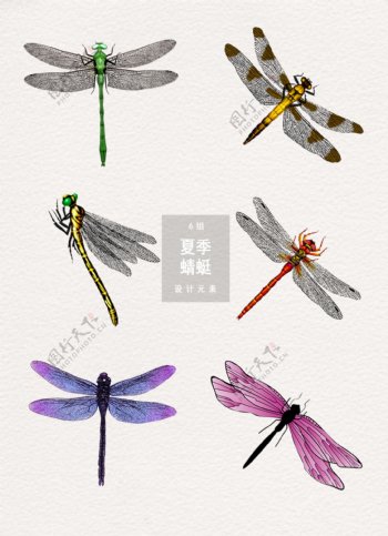 夏季蜻蜓图案装饰素材