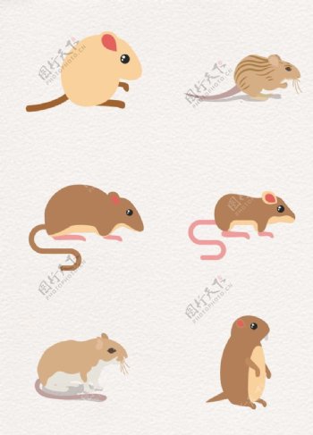 棕色可爱设计小老鼠