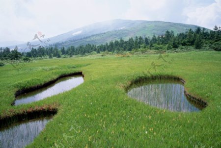 草塘湿地