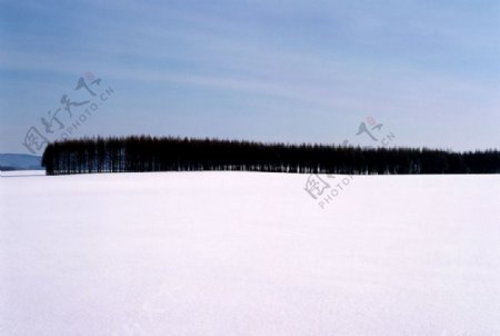 冰天雪地自然风景