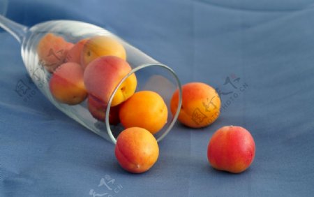 新疆蜜杏蜜杏杏水果金杏