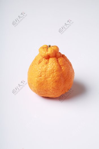 橘子静物