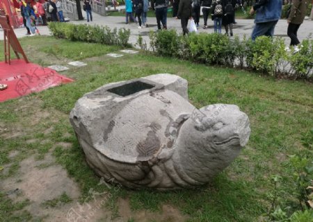 唐代石龟