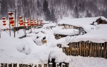 雪乡美景