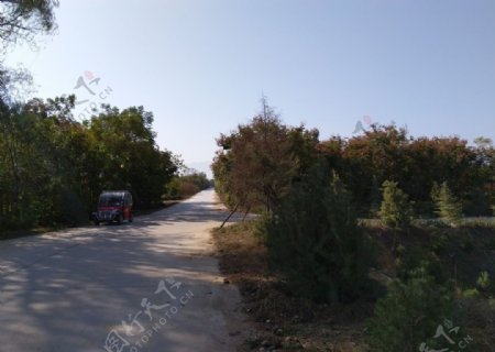 乡村道路风景