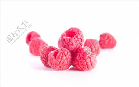 野生水果莓果山果