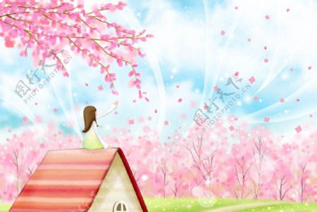 屋顶女孩看樱花