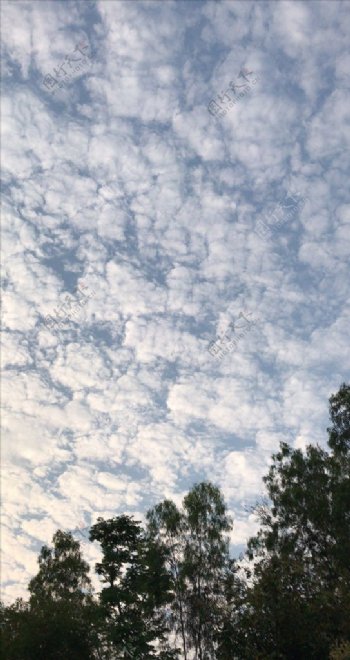 天空云海树影蓝天白云