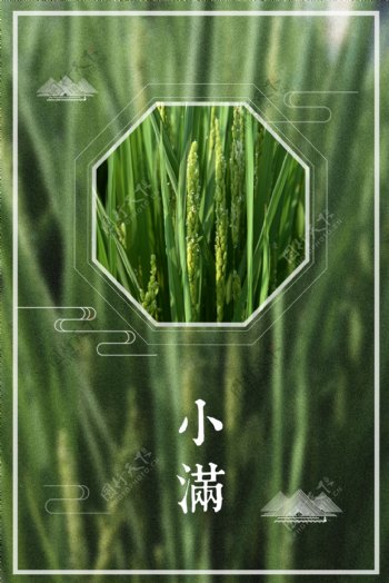 夏季绿色小满节气小麦海报背景设计