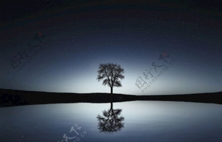 星空湖泊夜晚树木
