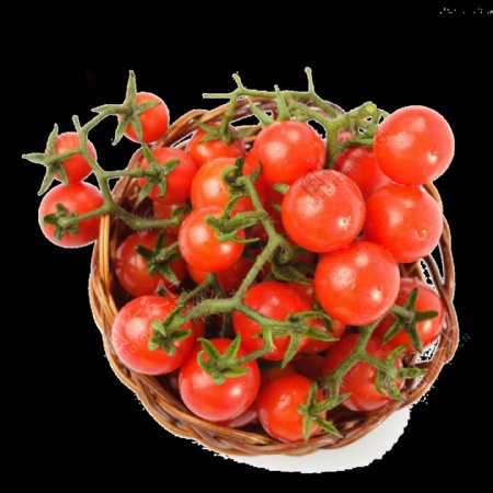 美味的番茄圣女果水果免扣素材
