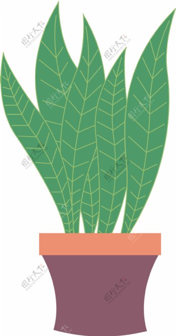 小清新植物盆栽插画扁平卡通创意可商用素材