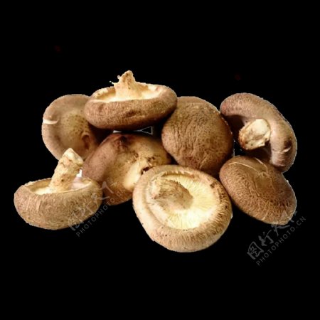 蘑菇实物图png素材