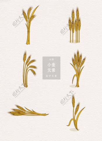矢量手绘小麦设计元素