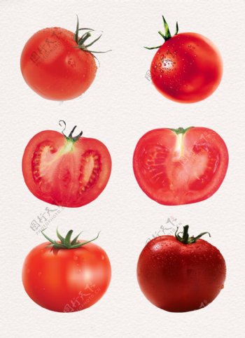 西红柿卡通透明素材
