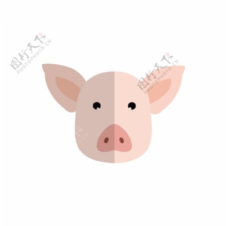 2019年猪年十二生肖小猪卡通可爱头像