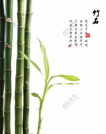 竹子树叶移门设计