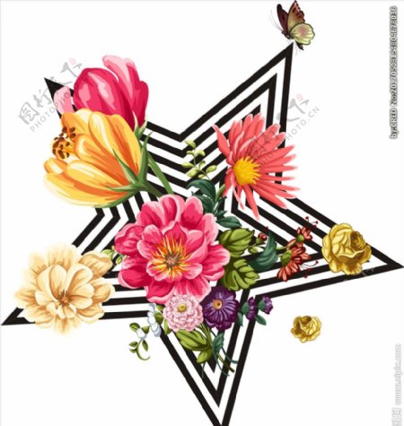 五角星花朵花卉矢量图