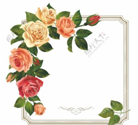 精美玫瑰花边框背景矢量素材