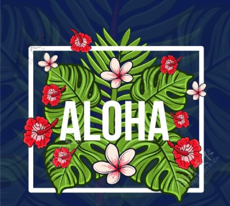 彩色夏威夷热带花卉树叶矢量素材