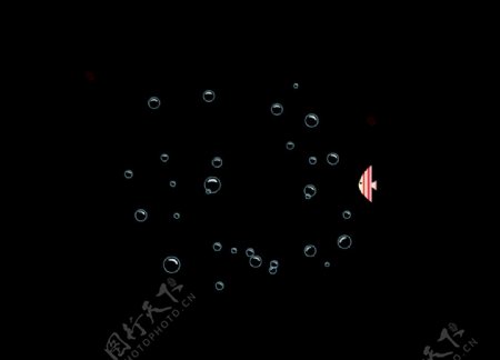 小鱼气泡动态背景视频