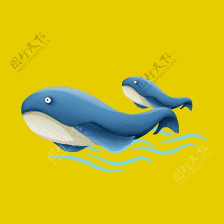 可爱蓝鲸鲸鱼动物园手绘插画可商用元素