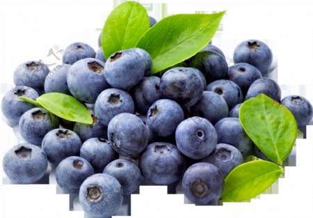 免抠蓝莓水果