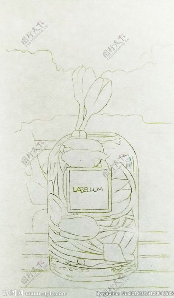 写实彩铅画郁金香玻璃花瓶