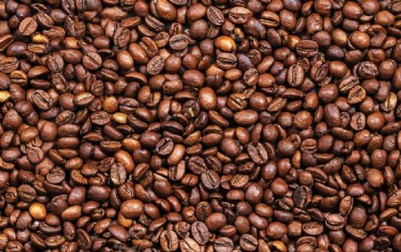咖啡豆材质背景