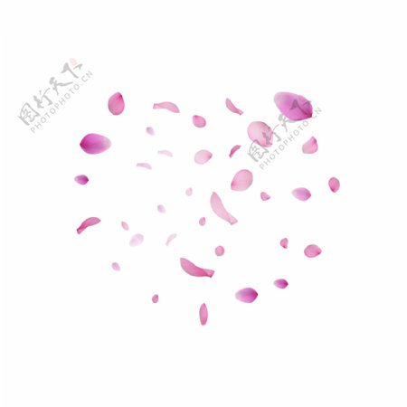 粉红色漂浮花瓣可商用元素