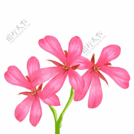 手绘粉红色鲜花背景免扣可商用素材