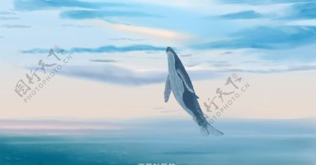 鲸鱼手绘插画