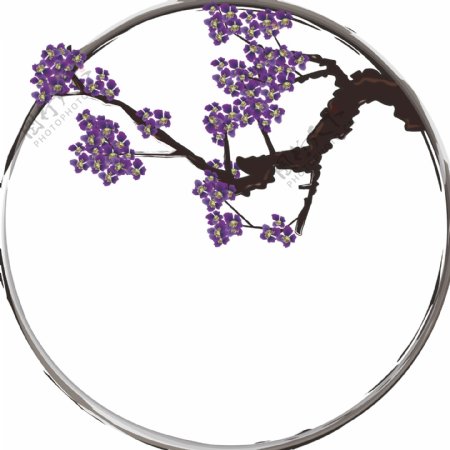 中国风水墨手绘紫花楹花卉植物装饰边框元素