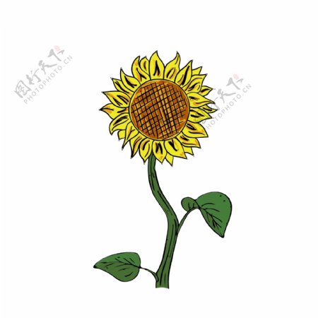 手绘卡通植物向日葵