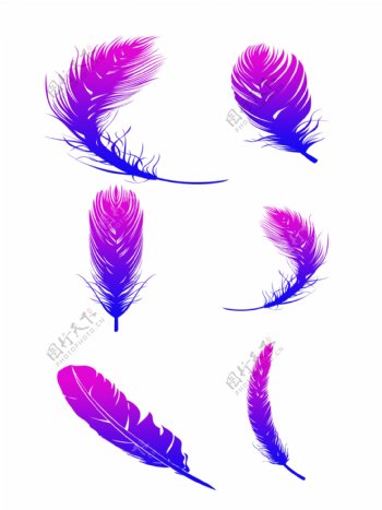 羽毛蓝紫色渐变装饰素材可商用简约