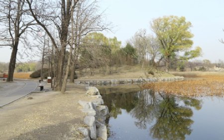 初冬圆明园