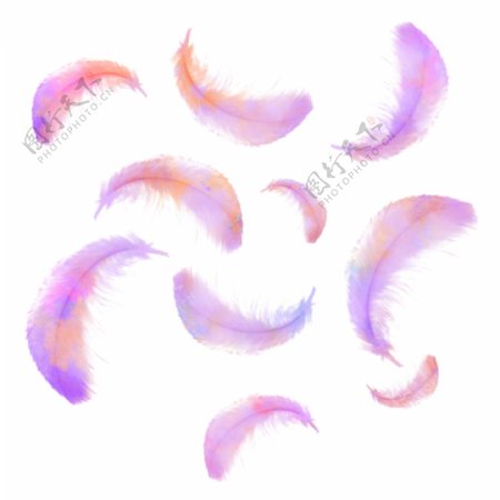 水彩粉色紫色渐变羽毛漂浮设计元素背景底纹