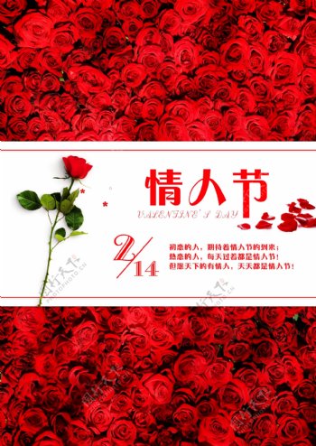 情人节红色玫瑰花海海报