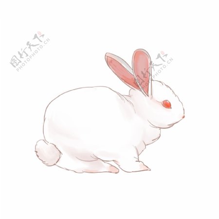 水彩手绘风可爱动物兔子